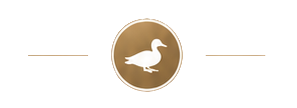 Gold emblem with white duck silhouette and lines