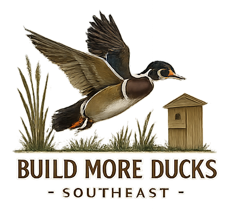 Duck flying past nesting box with tall reeds